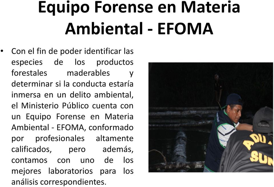 Público cuenta con un Equipo Forense en Materia Ambiental- EFOMA, conformado por profesionales
