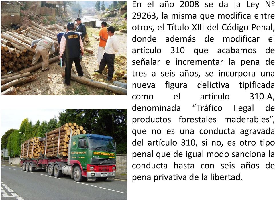 delictiva tipificada como el artículo 310-A, denominada Tráfico Ilegal de productos forestales maderables, que no es una