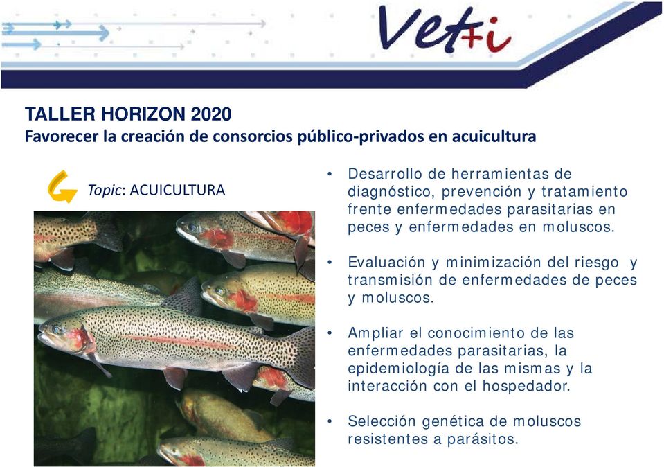 Evaluación y minimización del riesgo y transmisión de enfermedades de peces y moluscos.