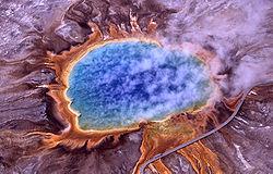 Dominio: ARCHAEA Arqueobacterias Son extremófilas: sobreviven a altas temperaturas como las que hay en los géiseres, chimeneas mineralizadas, y pozos de petróleo.