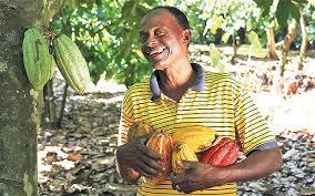Mercado Mundial del Cacao: Retos y Oportunidades para Productores de Cacao en Nicaragua Managua, 11 de Noviembre del 2015 Daily QKCc1 VltyOHLC, QKCc1, Trade Price, 0.0, 10, 365.0 05/01/2010, 22.