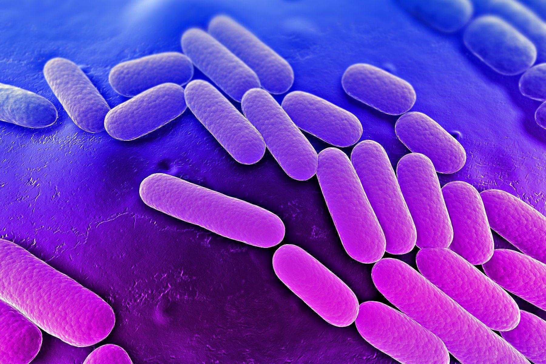 Los mecanismos de resistencia a los antibióticos se pueden resumir en cuatro