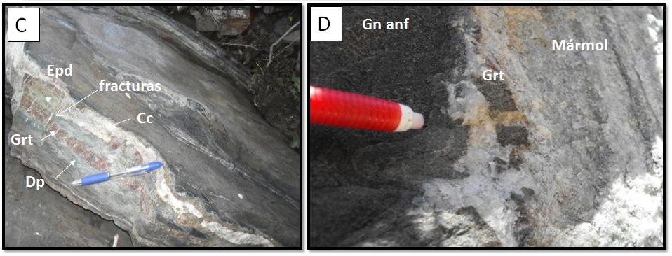 A Gn anf B Epd Brecha de falla Gn ton Estrías Figura 4.6.- Evidencia de fallas A) Zona de falla en el contacto entre los metasedimentos (met) y gneis tonalítico (Gn Ton).