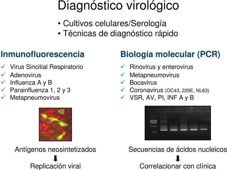 molecular (PCR) Rinovirus y enterovirus Metapneumovirus Bocavirus Coronavirus (OC43, 229E, NL63) VSR, AV,
