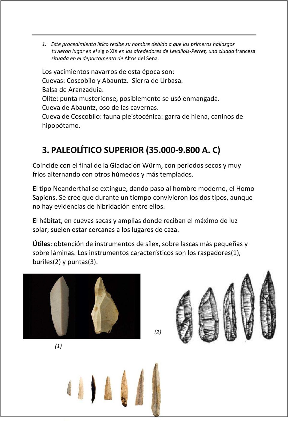 Cueva de Abauntz, oso de las cavernas. Cueva de Coscobilo: fauna pleistocénica: garra de hiena, caninos de hipopótamo. 3. PALEOLÍTICO SUPERIOR (35.000-9.800 A.