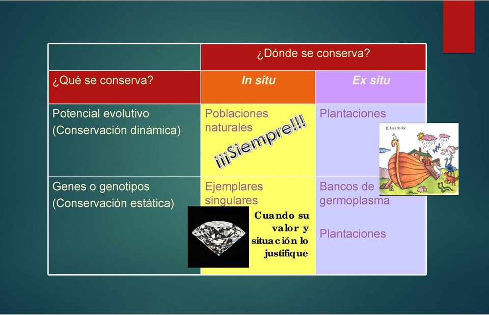 Poblaciones naturales Plantaciones Genes o genotipos (Conservación