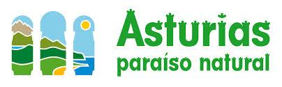Otras acciones con AAPP Sociedad Pública de Gestión y Promoción Turística del Principado de Asturias Rotulación buses