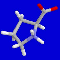 3N C (fenilo) aromático R polar neutra 3 N C R no polar Fenilalanina Phe, F E aromático Aminoácidos aromáticos Tirosina Tyr, Y (fenólico) 3N C N (indol) Triptófano heterociclico Trp, W R no polar E