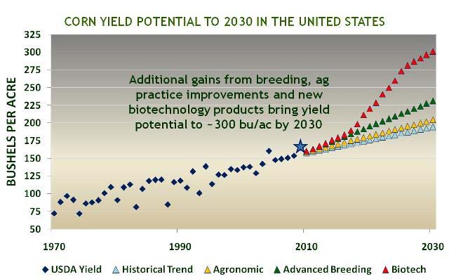 Potencial de producción del maíz, hacia el 2030, en los EEUU 300 bu/a 19.