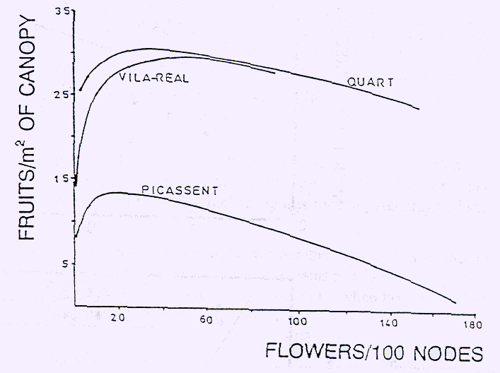 En general Más Flores = Más Fruta Se puede inducir la formación de más flores mediante el