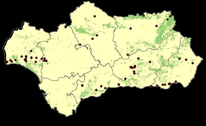PROSPECCIONES DE ENTORNOS DE PUNTOS DE RIESGO: Entornos de Industrias de la madera Características: Radio