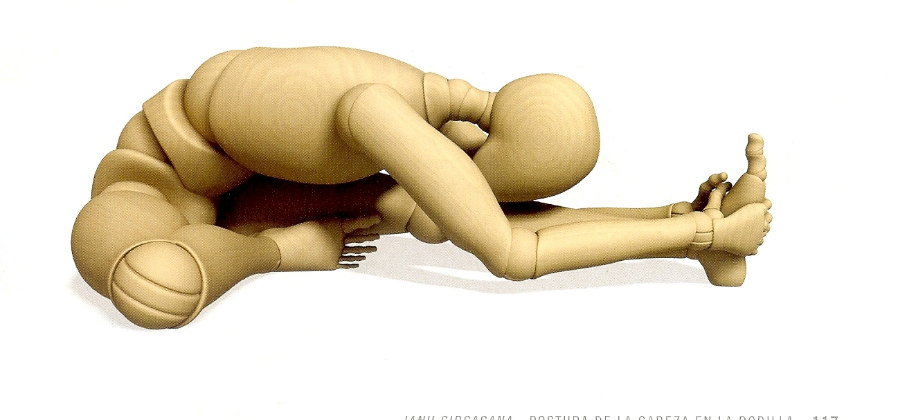 AUTORREGULACIÓN: La cadena posterior conecta los músculos, tendones y ligamentos de la parte posterior del cuerpo.