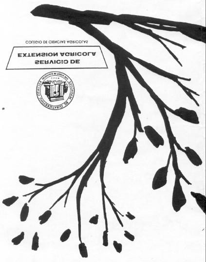 Publicación original de Carlos Bryan Arana 1999 Publicado para la promoción del trabajo cooperativo de Extensión según lo dispuesto por las leyes del Congreso del 8 de mayo y del 30
