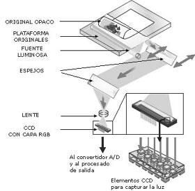 Unidad 3: DISPOSITIVOS DE CAPTURA (ESCÁNER CÁMARA FOTOGRÁFICA) EL ESCÁNER Escáner : es un dispositivo de entrada en el ordenador.
