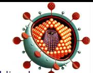 La infección viral Usan receptores de superficie que se une a moléculas de membrana en la célula huésped.