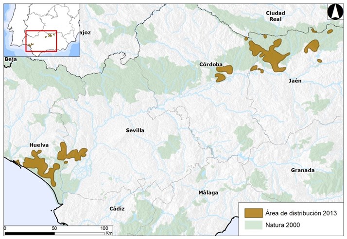 Censo por áreas de presencia de lince ibérico en Andalucía Fig.8: Áreas de presencia de lince Ibérico en Andalucía.