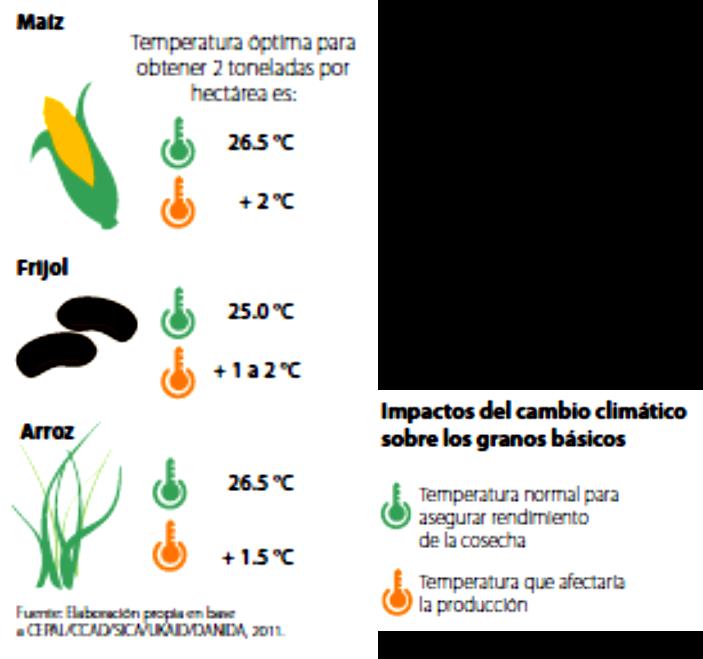 SITUACIÓN ACTUAL DE LA PRODUCCIÓN DE GRANOS BÁSICOS EN CENTROAMÉRICA MAÍZ Temperatura promedio actual dentro de rango óptimo.
