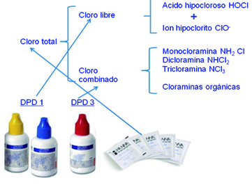 Diferentes formas de Cloro en el agua El ácido hipocloroso es la forma activa del cloro, el cual le da el poder desinfectante.