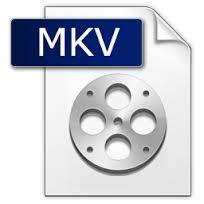 MATROSKA Extensión *.MKV para video con audio y archivos de subtítulos. *.MKA para archivos de audio. *.MKS para archivos de subtítulos.