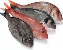 Efecto de la adición de antioxidantes sobre la energía metabolizable de la Harina de pescado (I) ME 1 (Cal/lb) % del control Harina de arenque, 13 meses de almacenamiento Control 0.