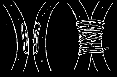 Fig. 8: Aspectos del Injerto a la inglesa de la silla 3. Injertos por aproximación (Fig. 9) En estos la púa o injerto se separa de la planta madre después de haberse producido la unión.