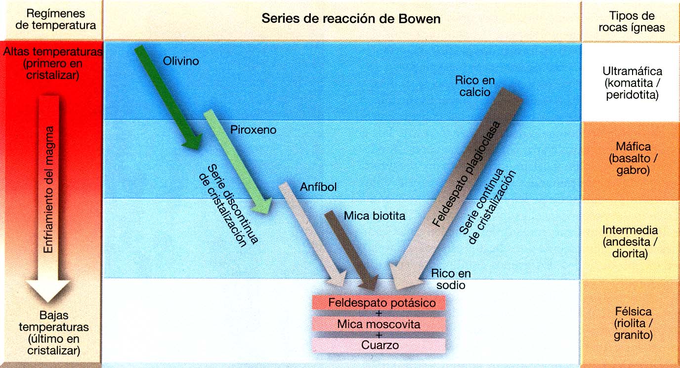 Serie de reacción de Bowen Muestra la secuencia en la cual cristalizan los minerales a partir de un magma basáltico en