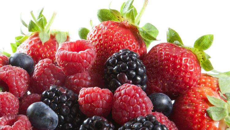 Esquema del proceso de comercialización de frutas y hortalizas frescas Recolección Transporte frigorífico (terrestre, aéreo o en barco)