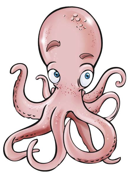 Pulpo Octopus vulgaris Cabeza grande para guardar mucha información Ventosas para agarrarme a todo Luciendo traje Existen pulpos más grandes que un coche pero los que vivimos en Canarias somos más