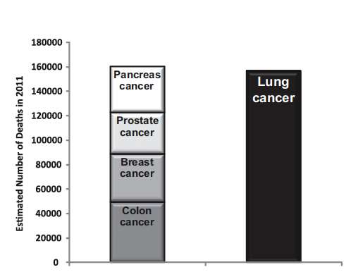 Muertes por cáncer de pulmón comparadas con cáncer de colon, mama,