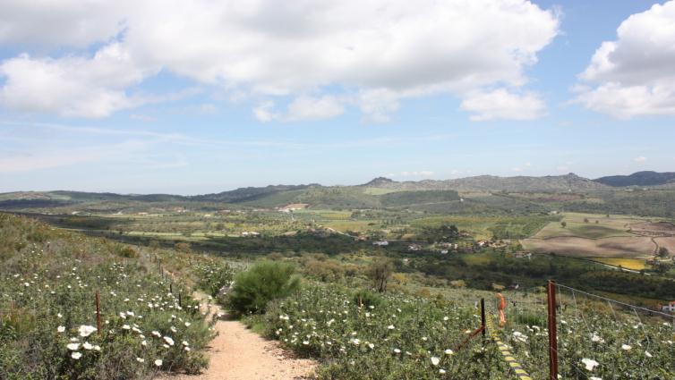 Para este año hemos diseñado una ruta por uno de los parajes más bellos de Extremadura, transcurrirá por la Sierra de la Paja, pegada a la frontera con Portugal, pasando por las pedanías de Alcorneo,