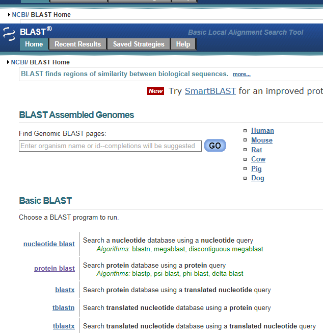 Búsqueda de secuencias similares: BLAST Una vez que un investigador ha identificado un marco abierto de lectura en una secuencia de nucleótidos, puede realizar una búsqueda con el software BLASTn,