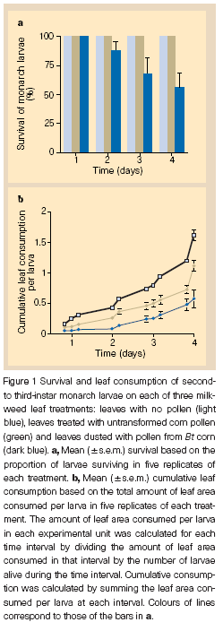 Evaluación del riesgo Efecto a organismos no blanco Antecedentes Losey, J.E.; Rayor, L.S.; Carter, M.E. Transgenic pollen harms monarch larvae. Nature 1999, 399, 214.