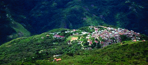 Las comunidades más importantes son: Zona Valle Chucura Valle Huarinilla Carretera La Paz- Caranavi Comunidades Chucura, Choro Charobamba, Yucupi, La Selva, Pacallo, Siñari Huayllara, Pongo, Unduavi,