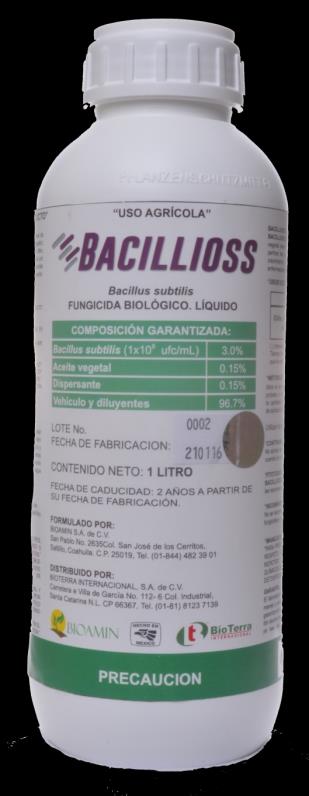 Fungicidas Fungicida biológico Bacillus subtilis (1x 10 8 UFC/ml) Qué es BACILLIOSS?