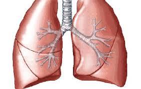 Por que es la vía respiratoria es la mas común? Se deben tener en cuenta 3 factores principales. - La facilidad con que se producen pequeñas gotas y partículas.