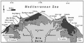 El terremoto y tsunami del 365 d. C. (Creta) Provocó destrucción en diferentes zonas del Mediterráneo (Grecia centro y sur, norte de Libia, Egipto, Chipre, Sicilioa y España).
