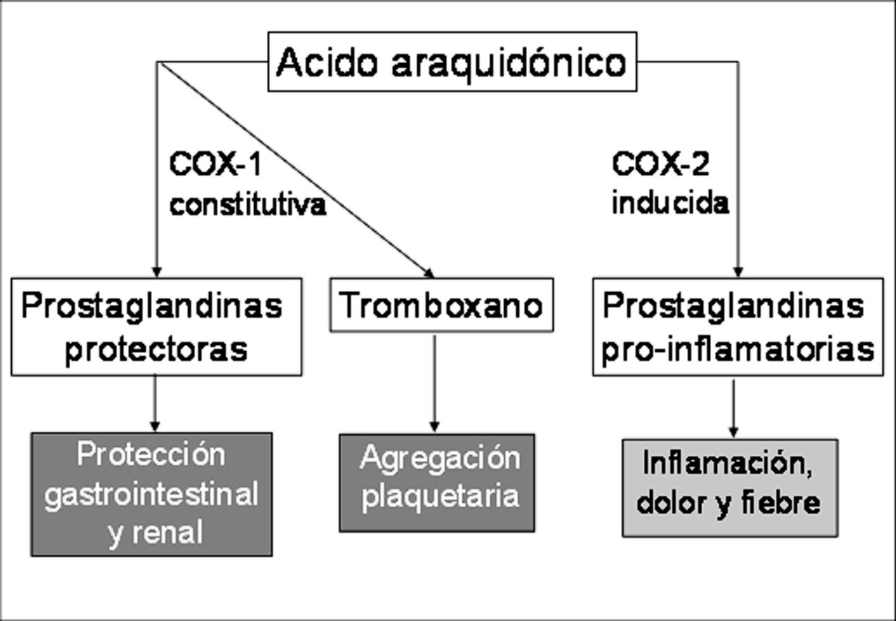 3 de 9 COX: cicloxigenasa; 6. SITUACIÓN ACTUAL: IMPACTO CLÍNICO, ECONÓMICO Y SOCIAL ã Los AINES son uno de los grupos terapéuticos más utilizados en la medicina actual.