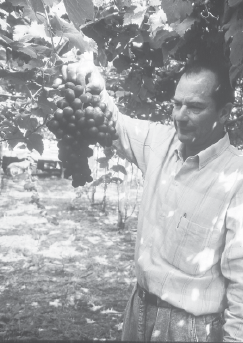 5. Caldos minerales para el tratamiento fitosanitario del cultivo de la uva y afines «Una agricultura que coloca en riesgo la salud de los trabajadores del campo y la propia vida de los campesinos no