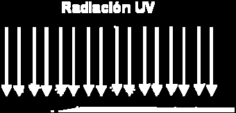 Figura 32. Esquema del fotodetector de silicio mejorado en el UV.
