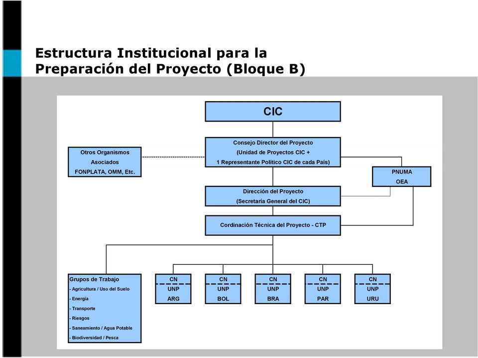PNUMA OEA Dirección del Proyecto (Secretaría General del CIC) Cordinación Técnica del Proyecto - CTP Grupos de Trabajo CN CN CN