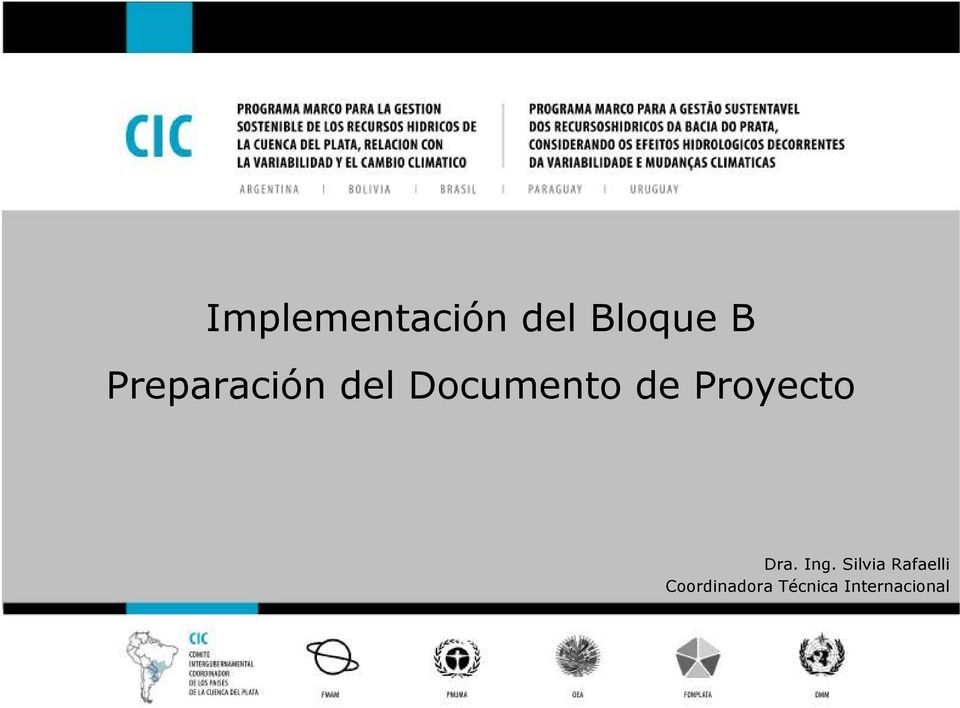 Proyecto Dra. Ing.