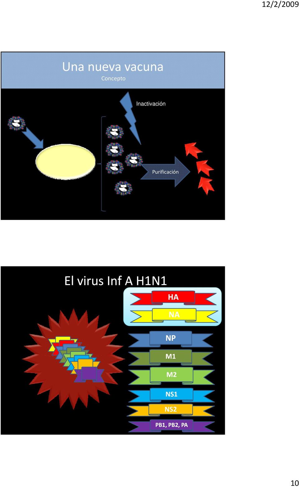 El virus Inf A H1N1 HA NA