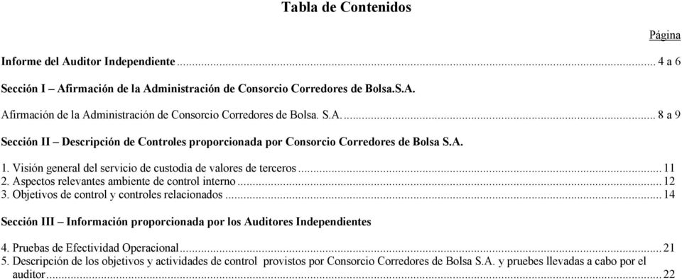 ..14 Sección III Información proporcionada por los Auditores Independientes 4. Pruebas de Efectividad Operacional...21 5.