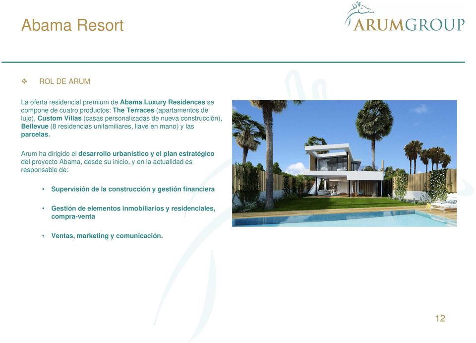 Arum ha dirigido el desarrollo urbanístico y el plan estratégico del proyecto Abama, desde su inicio, y en la actualidad es responsable de: