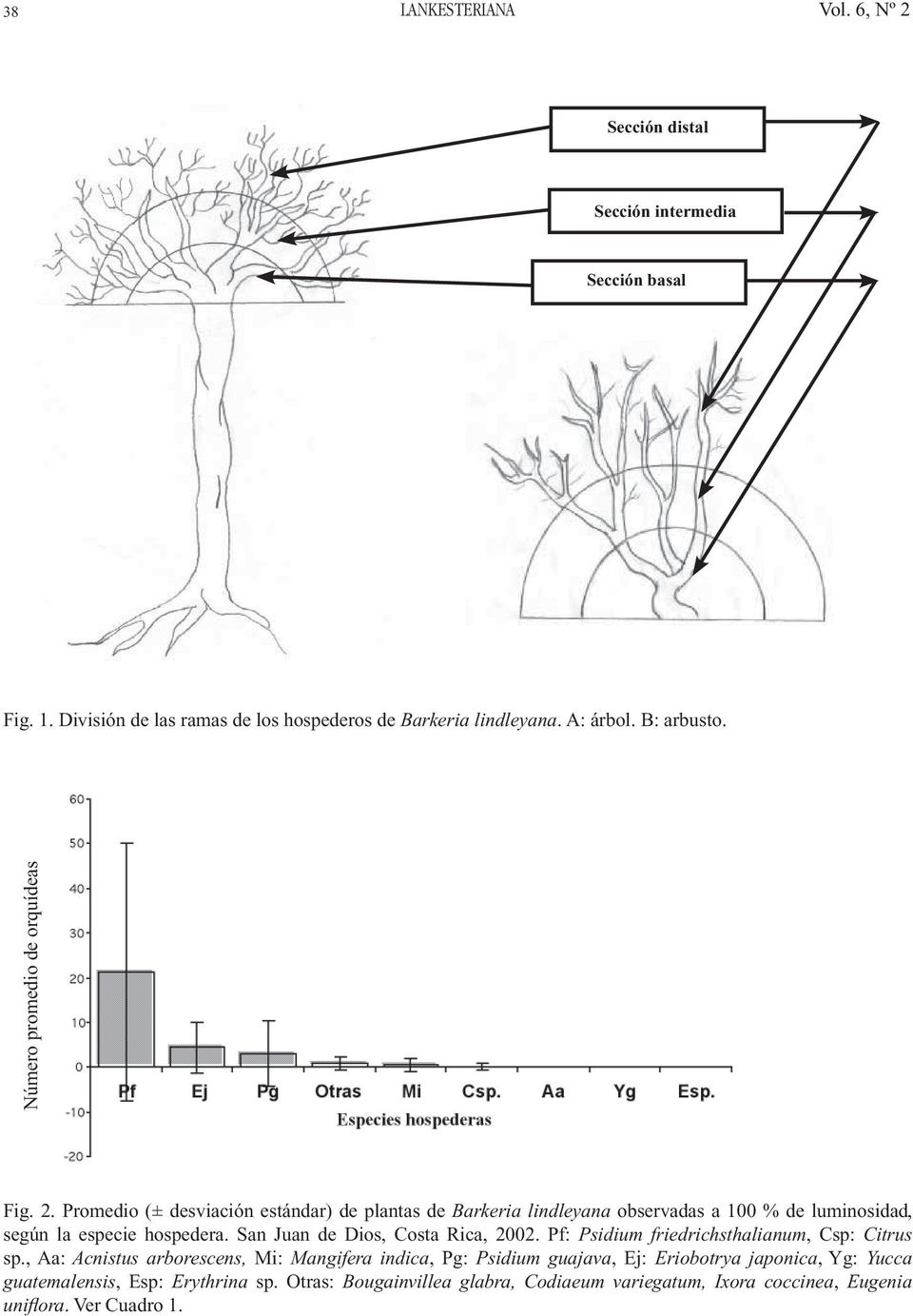 Promedio (± desviación estándar) de plantas de Barkeria lindleyana observadas a 100 % de luminosidad, según la especie hospedera.