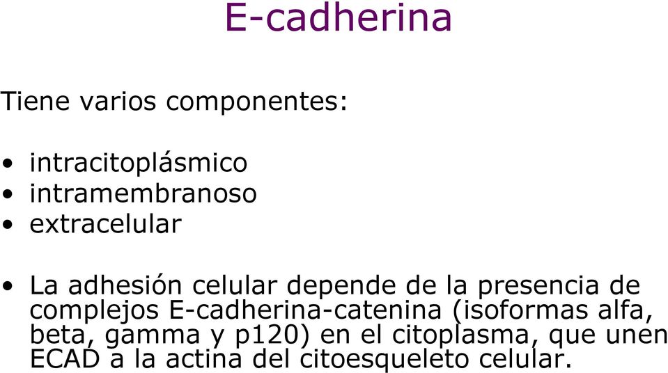 presencia de complejos E-cadherina-catenina (isoformas alfa, beta,