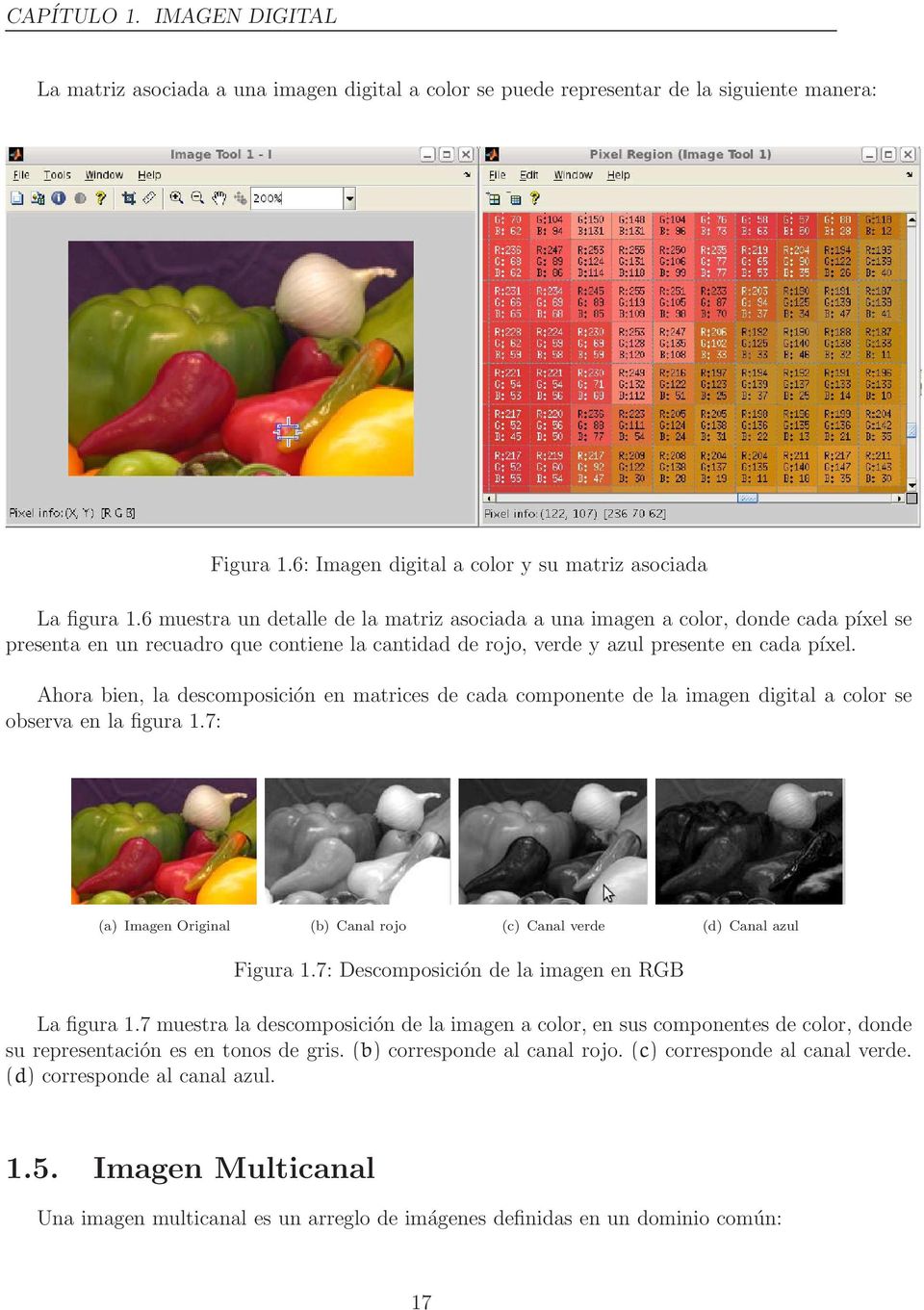 Ahora bien, la descomposición en matrices de cada componente de la imagen digital a color se observa en la figura 1.7: (a) Imagen Original (b) Canal rojo (c) Canal verde (d) Canal azul Figura 1.
