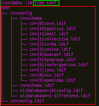 4. Creamos el directorio conf/ para la creación de los esquemas en formato LDIF. 5.