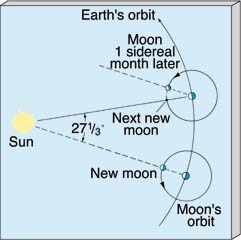 Fases de la Luna nueva 4 o menguante llena Mes sideral = 27.