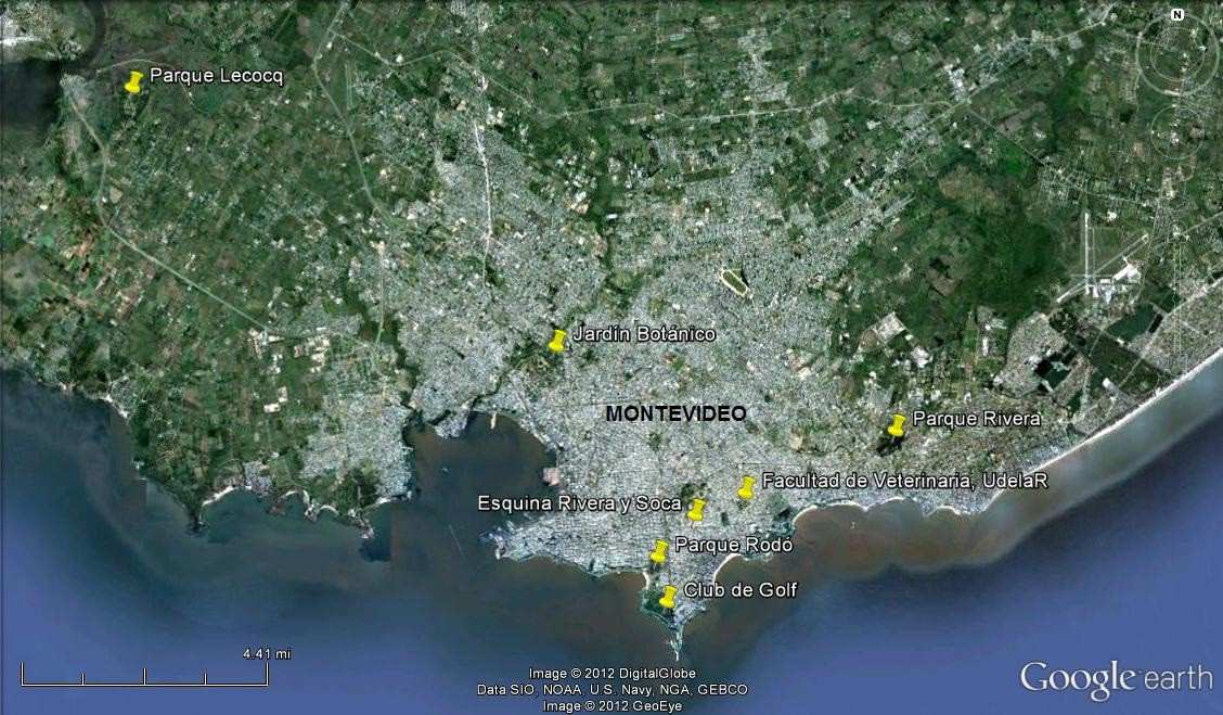Figura 3. Imágen satelital del departamento de Montevideo mostrando los puntos en donde se registró al estornino pinto (S. vulgaris). Atlántica a una velocidad promedio de 7,5 Km/ año (Peris et al.